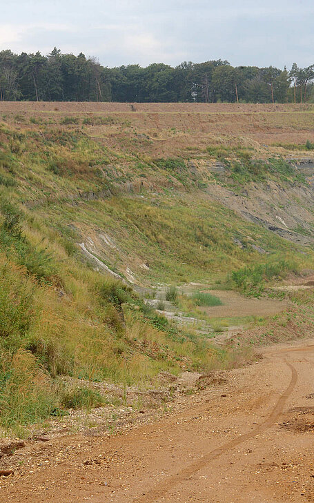 NEULAND HAMBACH Tagebaufolgelandschaft